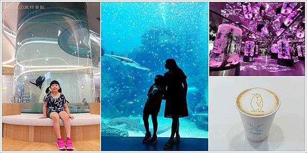 【桃園水族館】桃園青埔最新水族館XPARK ，來自日本都會型水族館，13大展區拍照打卡看這篇 - 遊｛桃園｝ - 壞波妞の旅行食踨