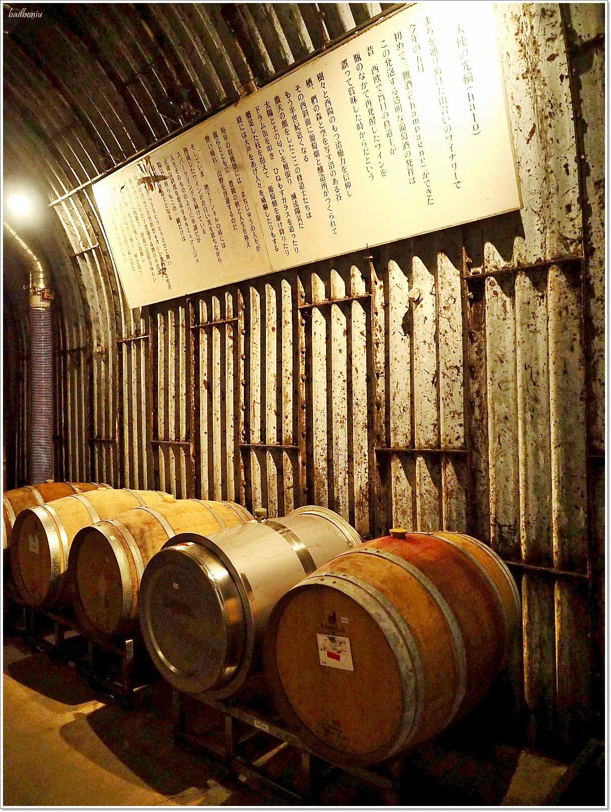 coco farm & winery,nikitarh,日本葡萄酒園,日本葡萄酒工場,櫪木景點推薦,足利景點推薦 @壞波妞の旅行食踨