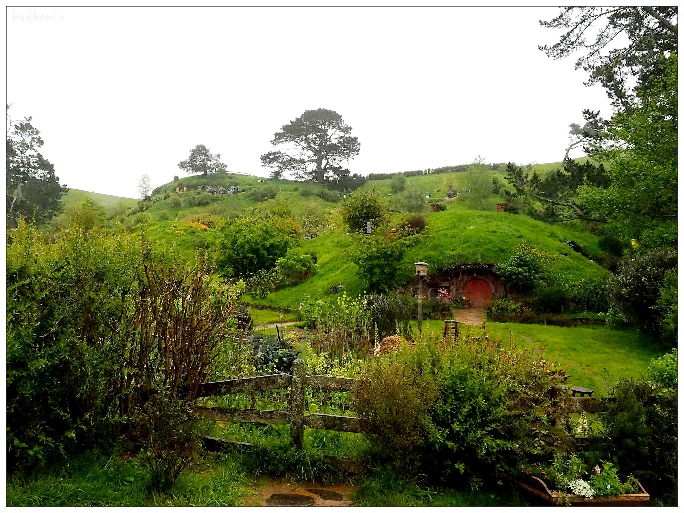 hobbiton霍比特人村,nikitarh,waitomo懷托摩螢火蟲洞,哈比人村 景點,紐西蘭 螢火蟲洞,紐西蘭 魔戎景點,紐西蘭北島 景點 @壞波妞の旅行食踨