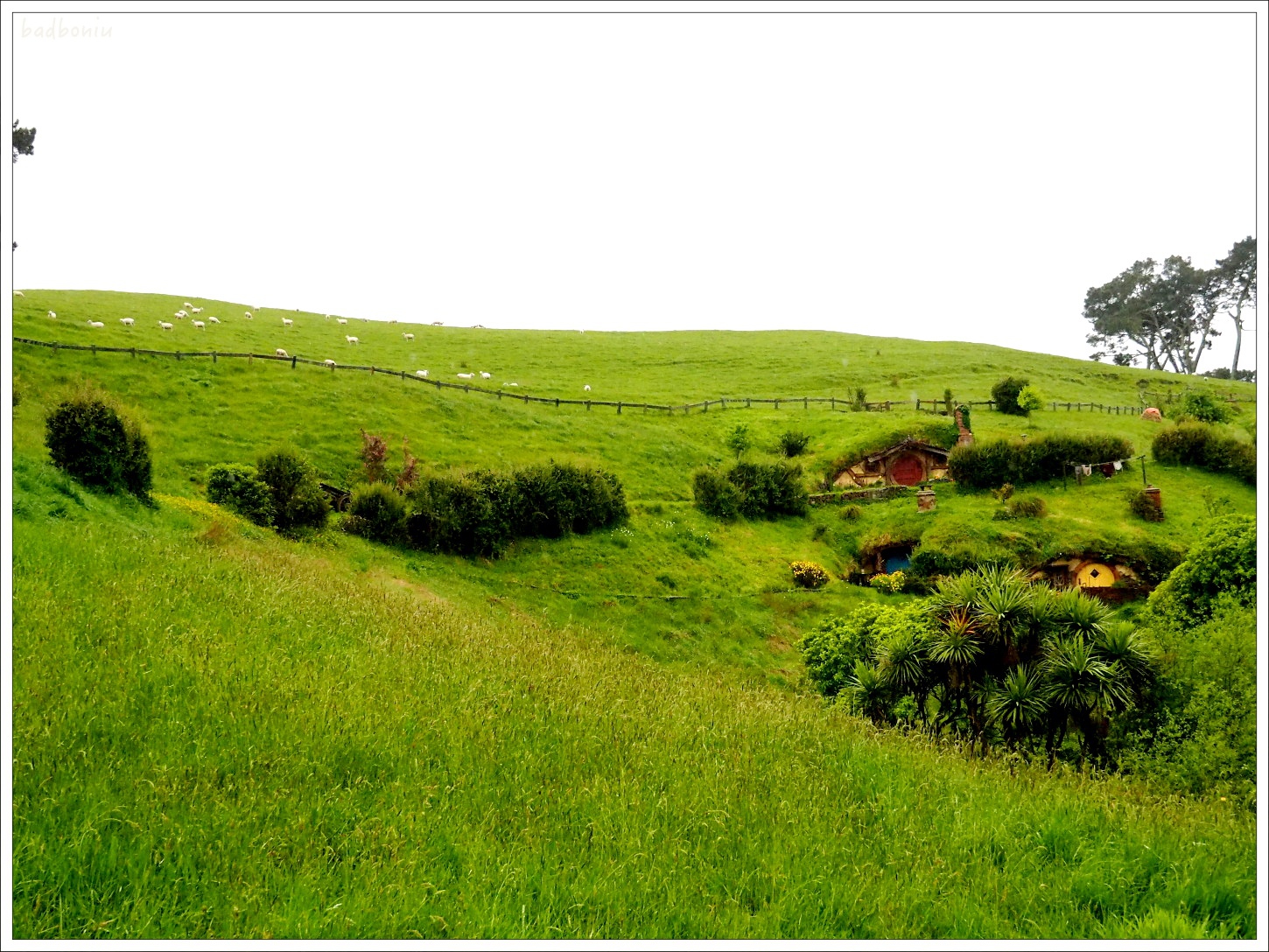 hobbiton霍比特人村,nikitarh,waitomo懷托摩螢火蟲洞,哈比人村 景點,紐西蘭 螢火蟲洞,紐西蘭 魔戎景點,紐西蘭北島 景點 @壞波妞の旅行食踨