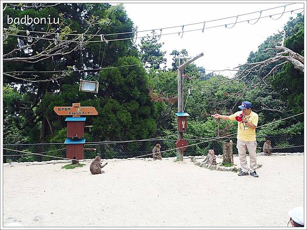 九州動物園推薦,九州親子景點推薦,九州高崎山自然動物園,大分景點,大分自駕 @壞波妞の旅行食踨