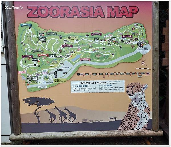 african savanna area,yokohama zoorasia,アフリカのサバンナ,ズーラシア,よこはま動物園,東京,東京近郊,橫濱,橫濱動物園,橫濱自由行,橫濱親子景點,親子景點 @壞波妞の旅行食踨