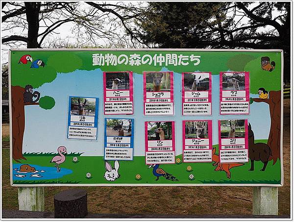 九州 國營公園,九州 賞櫻景點推薦,九州 騎腳踏車,九州親子景點,九州適合帶小孩的景點,福岡 親子景點 @壞波妞の旅行食踨