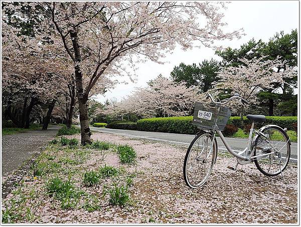 九州 國營公園,九州 賞櫻景點推薦,九州 騎腳踏車,九州親子景點,九州適合帶小孩的景點,福岡 親子景點 @壞波妞の旅行食踨
