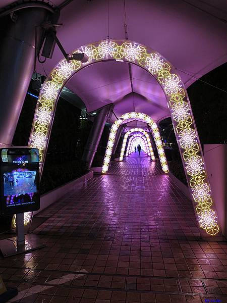東京 光廊,東京 點燈,東京巨蛋 @壞波妞の旅行食踨