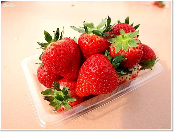 日本 採草莓,日本草莓吃到飽,那須 草莓,那須觀光 @壞波妞の旅行食踨