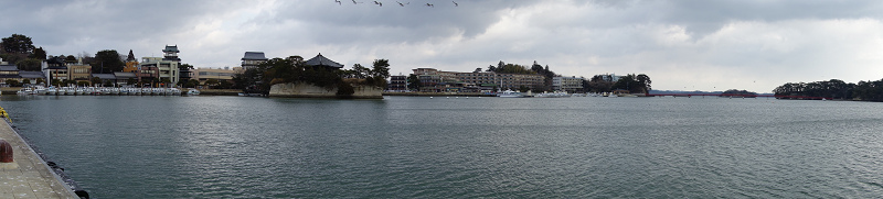 坐船餵海鷗,宮城縣松島町,日本三景,松島海岸 @壞波妞の旅行食踨
