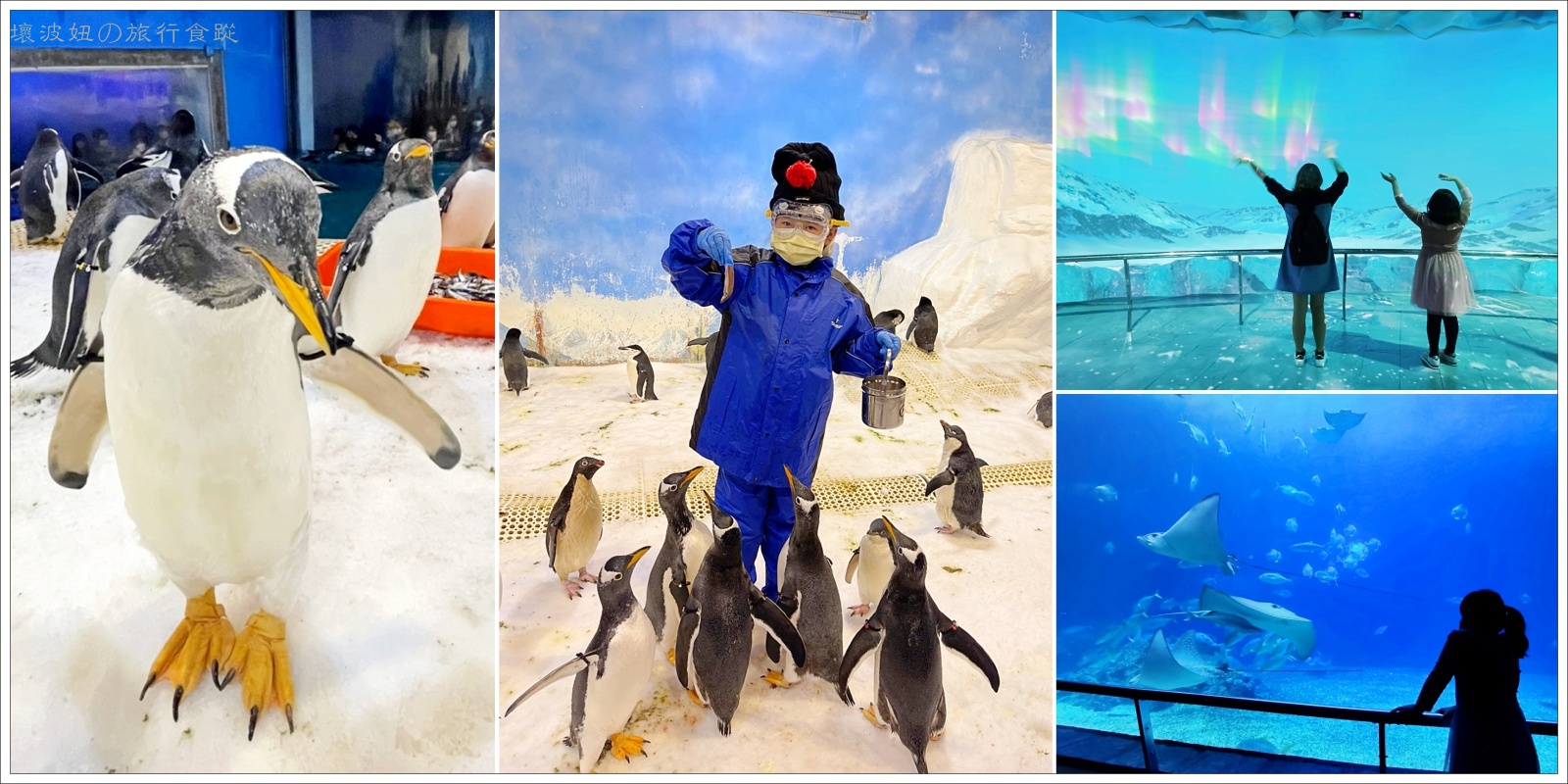 【屏東親子景點】我與企鵝的0.1毫米｜企鵝飼育照護體驗 - 絕對秒殺的屏東海生館餵企鵝體驗 - 屏東海生館 餐廳 - 壞波妞の旅行食踨