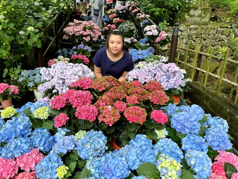 大阪看紫陽花,日本拜觀音,日本看繡球花,繡球花季節,長谷寺交通,長谷寺名物,關西賞楓,關西賞關西紫陽花 @壞波妞の旅行食踨