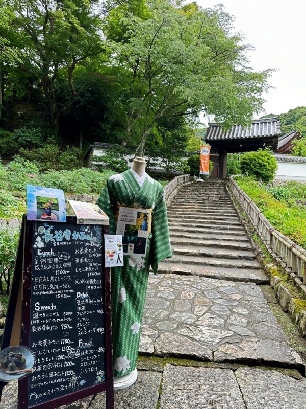 大阪看紫陽花,日本拜觀音,日本看繡球花,繡球花季節,長谷寺交通,長谷寺名物,關西賞楓,關西賞關西紫陽花 @壞波妞の旅行食踨