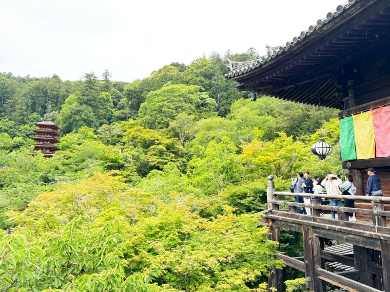 大阪看紫陽花,日本拜觀音,日本看繡球花,繡球花季節,長谷寺交通,長谷寺名物,關西賞楓,關西賞關西紫陽花 @壞波妞の旅行食踨