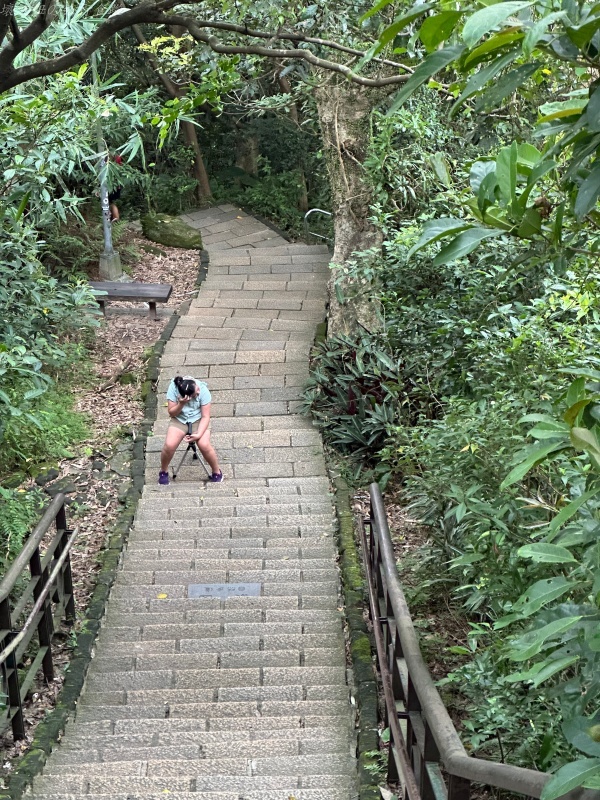 泰達隨身椅團購,泰達隨身椅操作方式,泰達隨身椅評價,泰達隨身椅重量,隨身椅推薦 @壞波妞の旅行食踨