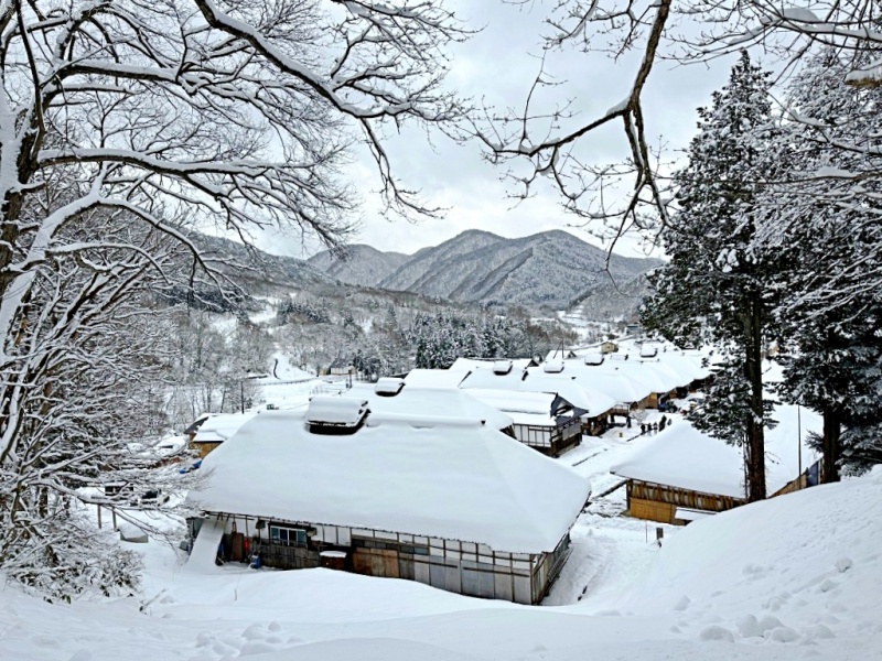 大內宿 蔥蕎麥,大內宿交通,大內宿自駕,大內宿觀景台,大內宿雪祭,大內宿點燈,福島景點 @壞波妞の旅行食踨