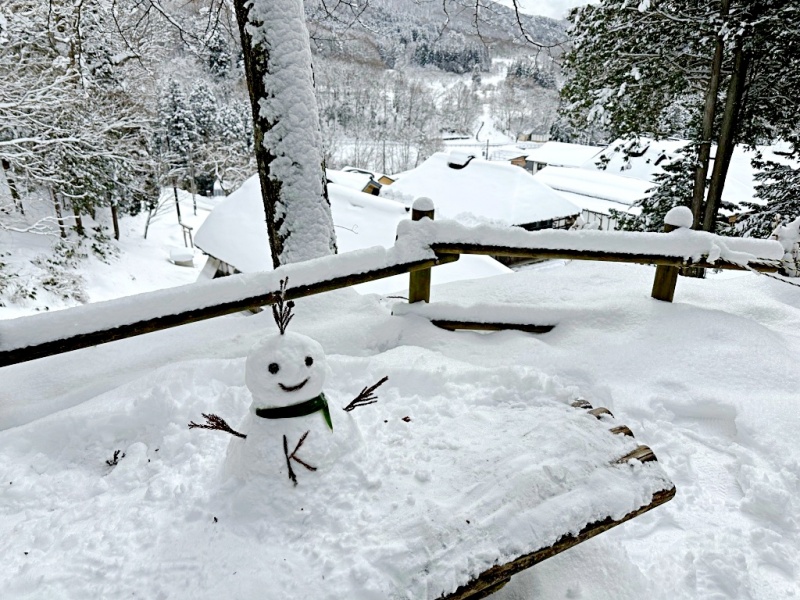 大內宿 蔥蕎麥,大內宿交通,大內宿自駕,大內宿觀景台,大內宿雪祭,大內宿點燈,福島景點 @壞波妞の旅行食踨