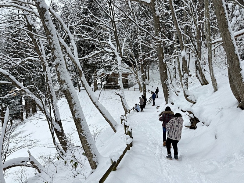 大內宿 蔥蕎麥,大內宿交通,大內宿自駕,大內宿觀景台,大內宿雪祭,大內宿點燈,福島景點 @壞波妞の旅行食踨