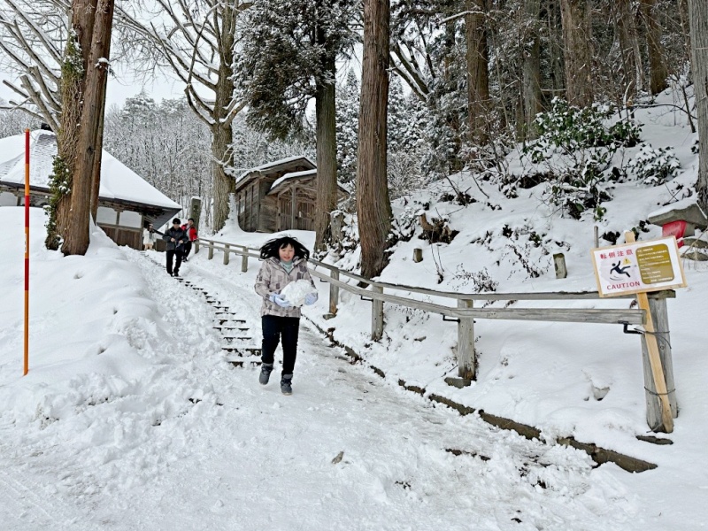 大內宿 蔥蕎麥,大內宿交通,大內宿自駕,大內宿觀景台,大內宿雪祭,大內宿點燈,福島景點 @壞波妞の旅行食踨