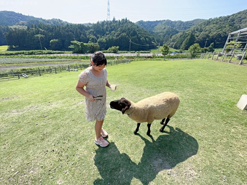 日本 哈比屋,日本 魔戒,日本笑笑羊農場,日本餵動物,滋賀親子景點,關西親子景點 @壞波妞の旅行食踨